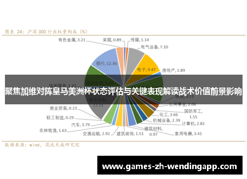 聚焦加维对阵皇马美洲杯状态评估与关键表现解读战术价值前景影响
