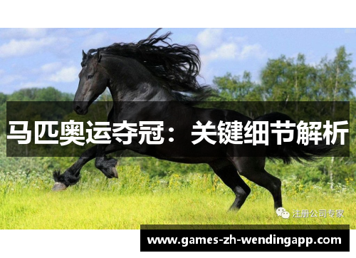 马匹奥运夺冠：关键细节解析