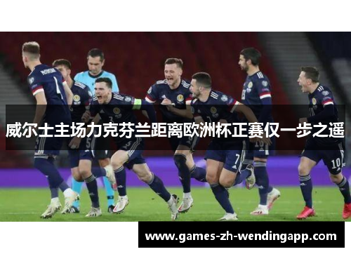 威尔士主场力克芬兰距离欧洲杯正赛仅一步之遥
